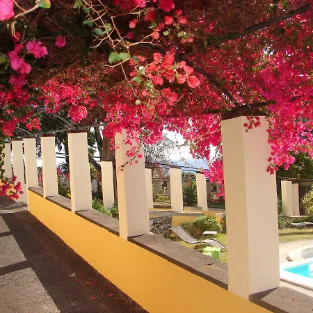 Romantic Funchal (Madeira)